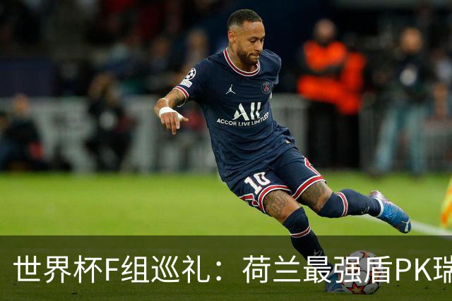 世界杯F组巡礼：荷兰最强盾PK瑞典犀利刀 日本短板明显